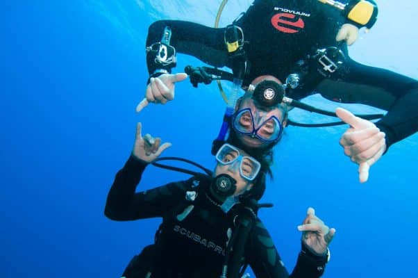 1 Accompanied Dive