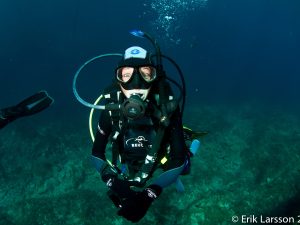 4 Accompanied Dives