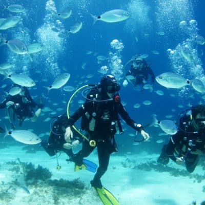 Diving in Malta