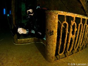 6 Accompanied Dives