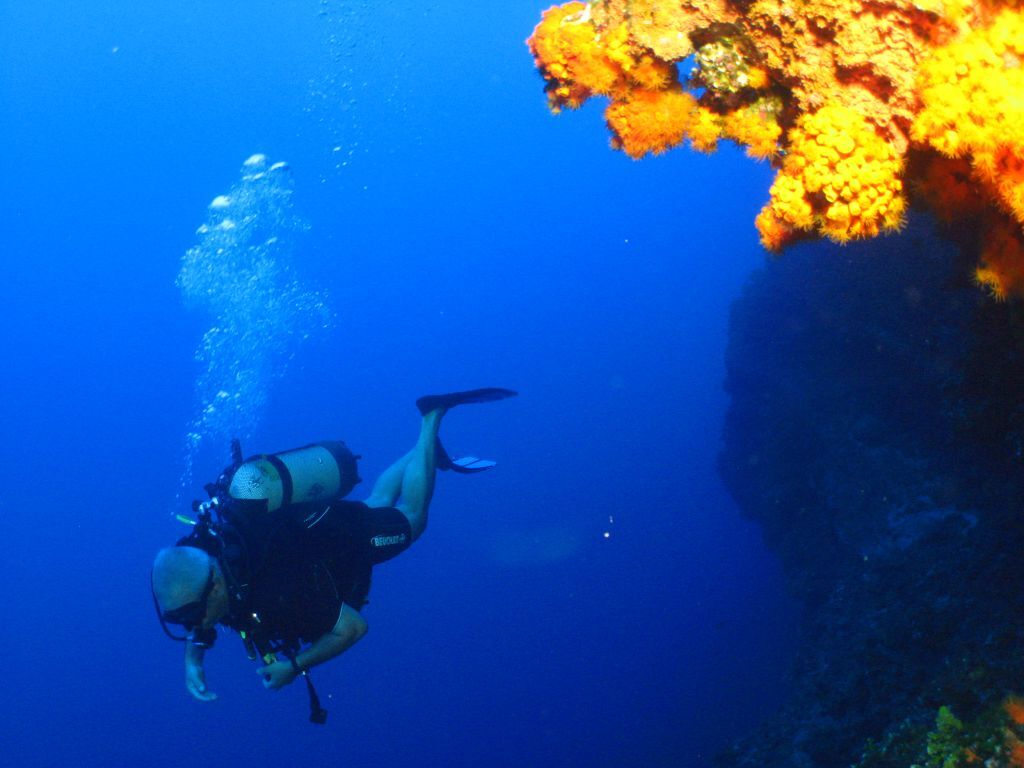 Cominotto Reef