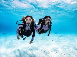 Intro Level Courses