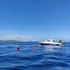 Charter our boat simo