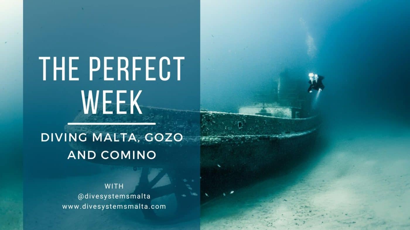 A perfect week diving in malta, gozo and comino