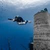 10 Accompanied Dives
