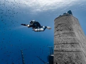 10 Accompanied Dives