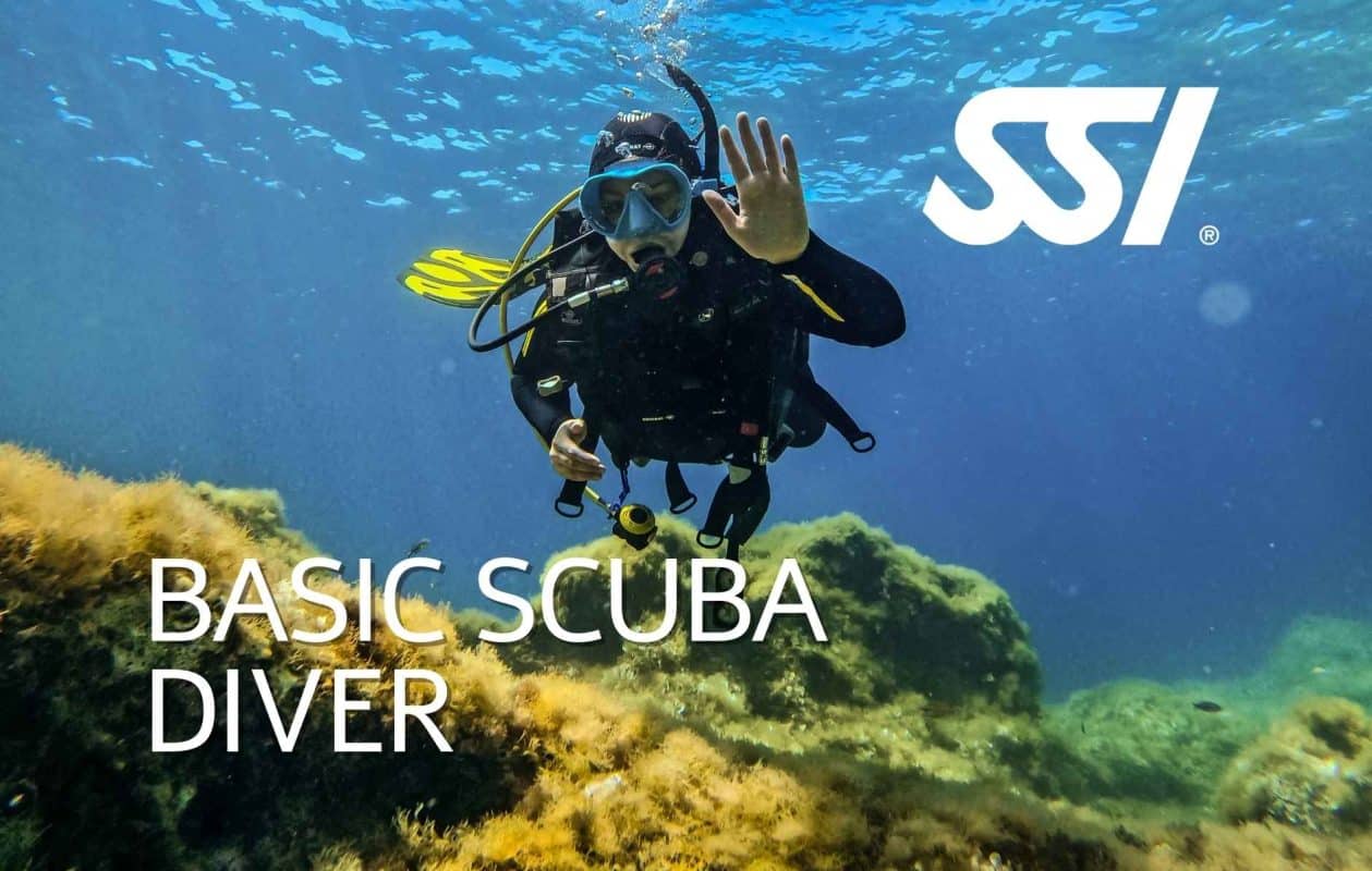 SSI Basic Scuba Diver with Dive Systems