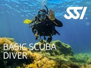 SSI Basic Scuba Diver with Dive Systems