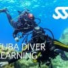 SSI Scuba Diver eLearning