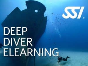 SSI Deep Diver Course eLearning