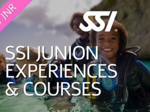 Junior Level Courses