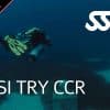 SSI Try CCR Malta confined water rebreather experience