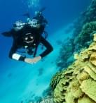 Discover Tec Diving (single dive)